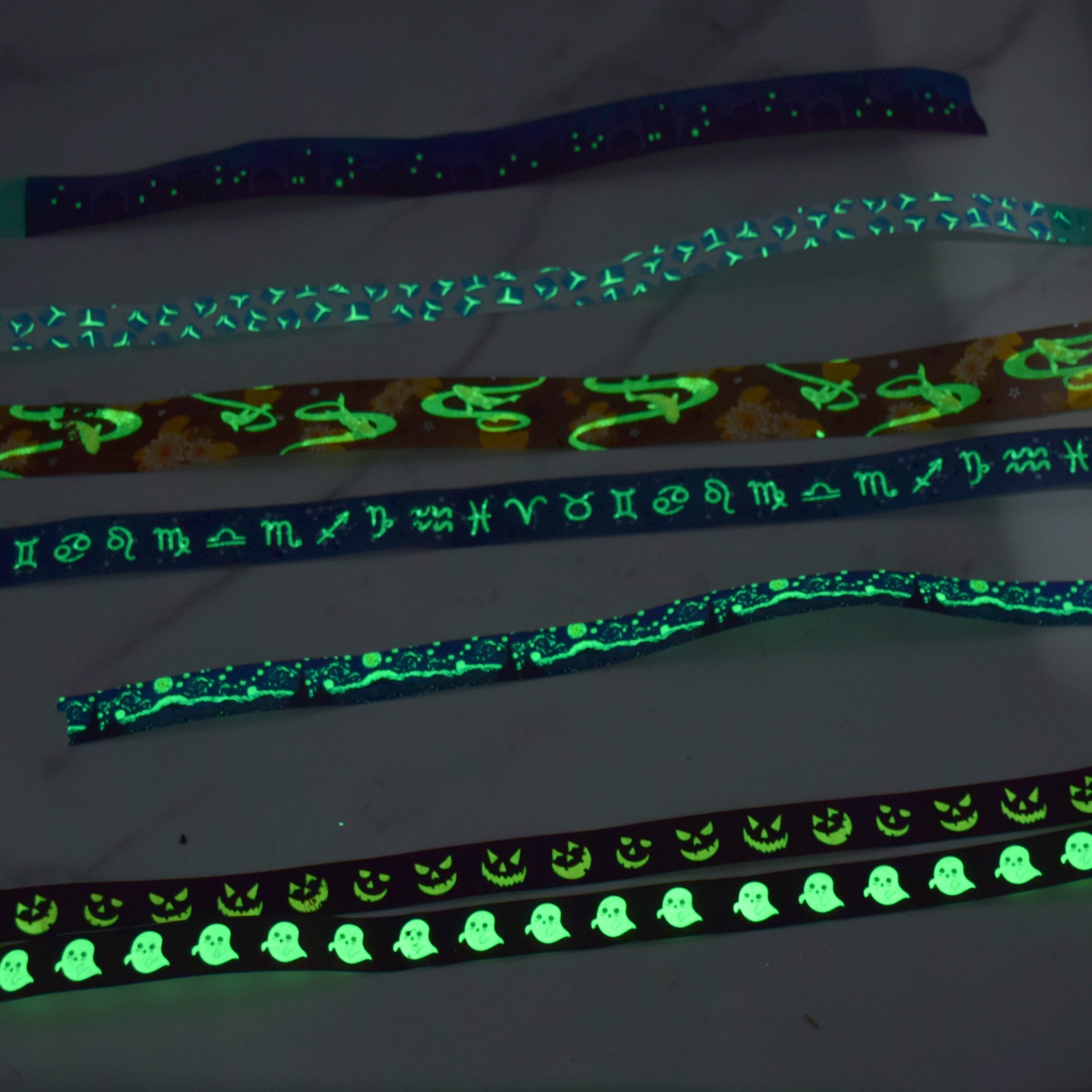 DSC 0544.jpg 1 scaled